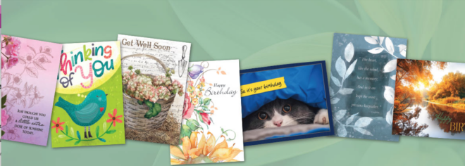 All occasion greeting cards at Current Catalog